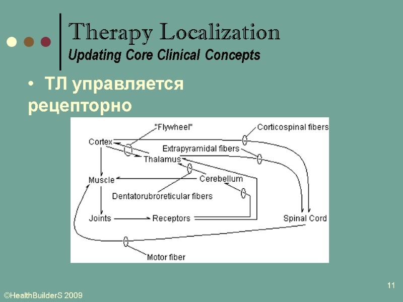 11   ТЛ управляется рецепторно Therapy Localization Updating Core Clinical Concepts